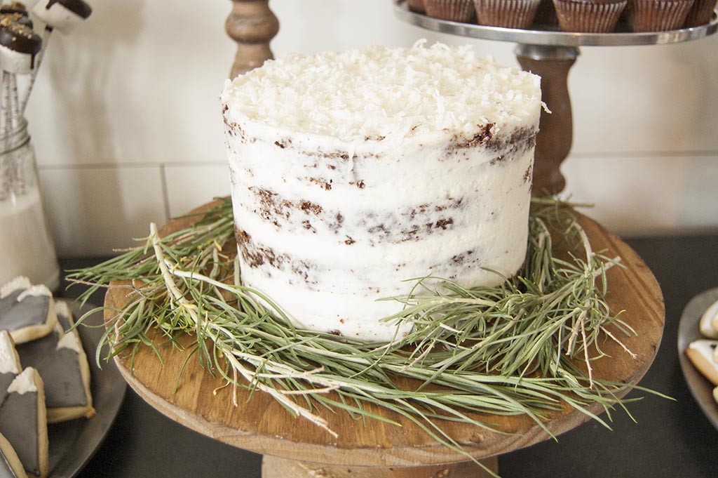 Chocolate Coconut Almond Cake